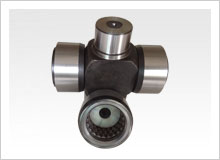 Universal joint and bearings
